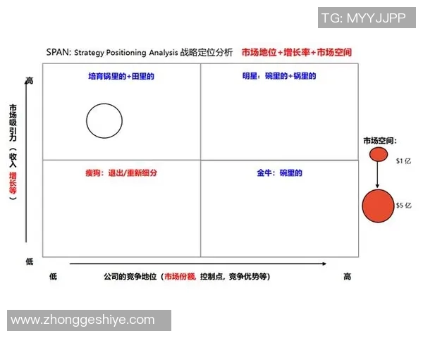 成都排球队在大师赛中的团队协作表现分析与启示