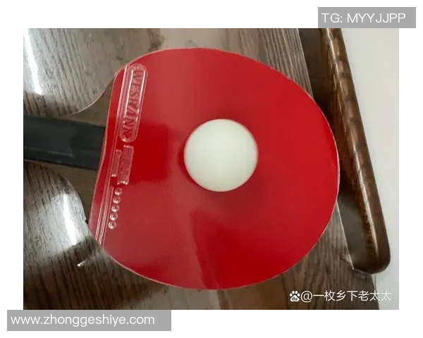 杭州乒乓球队耐力训练的秘密与挑战探索